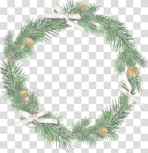 Christmas decoration, White Pine, Colorado Spruce, Oregon Pine, Shortleaf Black Spruce, Tree, Branch, Twig transparent background PNG clipart thumbnail