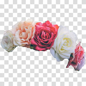 Flower Crowns, assorted-color rose decor transparent background PNG clipart