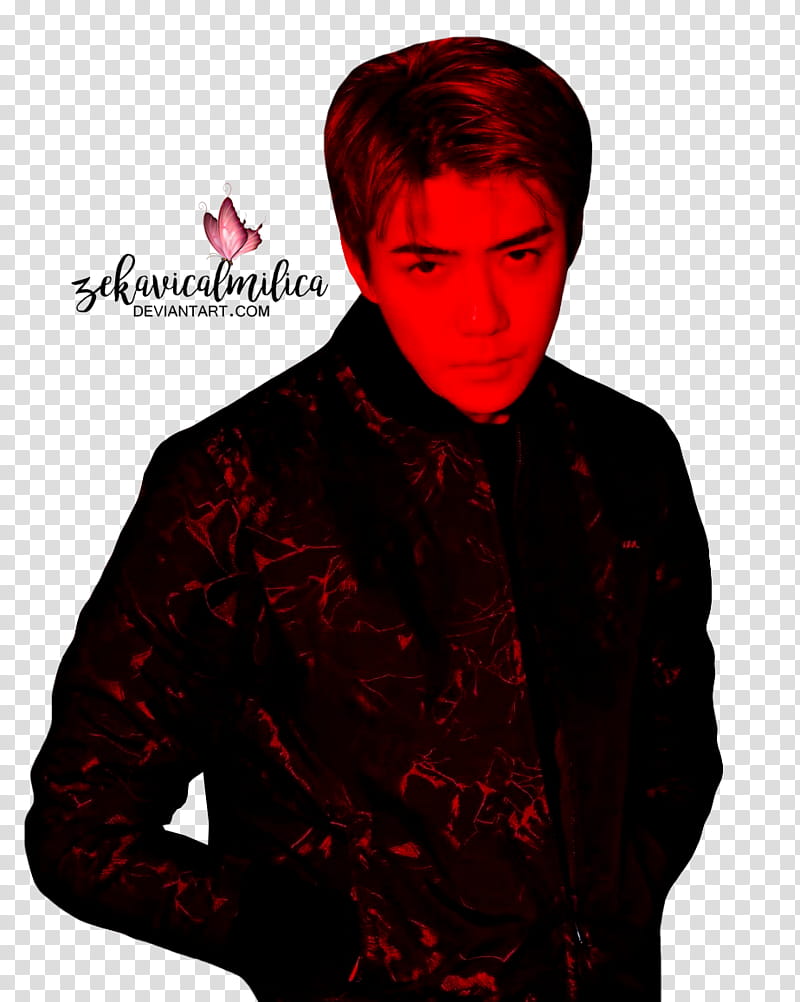 EXO Sehun ARENA HOMME transparent background PNG clipart