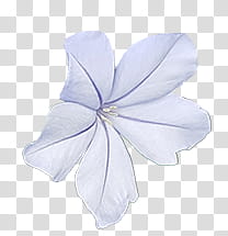 gray -petaled flower transparent background PNG clipart