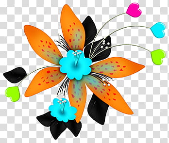 Flowers Colours, orange and black flower illustration transparent background PNG clipart