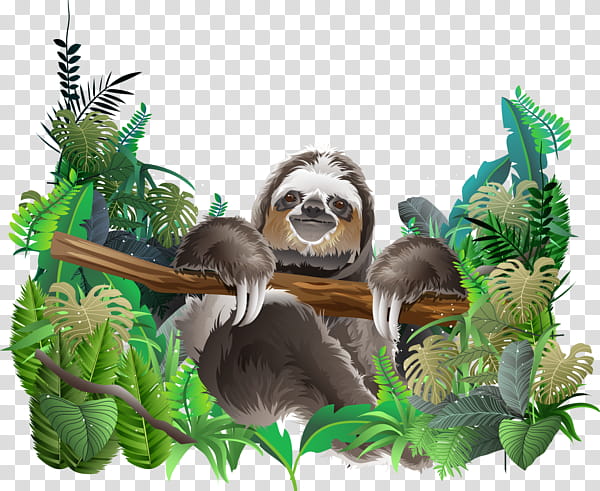 rain forest animal clipart