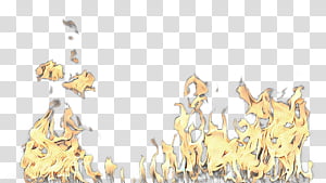Yellow, Jewellery, Plant transparent background PNG clipart thumbnail