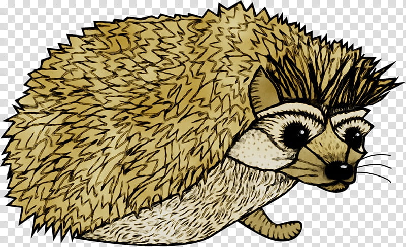Dog And Cat, Domesticated Hedgehog, European Hedgehog, Porcupine, Echidna, Domestication, Pet, Know Your Hedgehog The Basic Facts And Much More transparent background PNG clipart