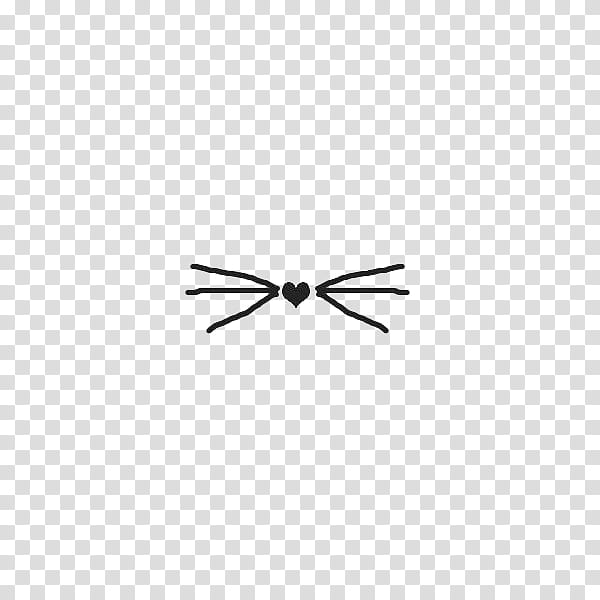 Paper Papel , black and white spider illustration transparent background PNG clipart