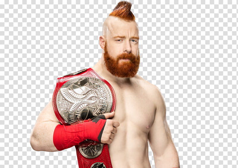 Sheamus WWE With New RAW Tag Team Championship transparent background PNG clipart