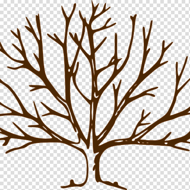 Black And White Flower, Tree, Trunk, Branch, Fall Tree, Drawing, Oak, Woody Plant transparent background PNG clipart