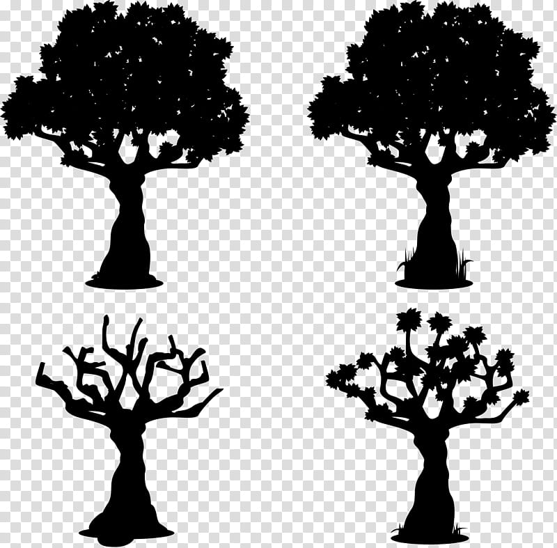 Oak Tree Silhouette, Leaf, Houseplant, Woody Plant, Blackandwhite, Branch, Arbor Day transparent background PNG clipart