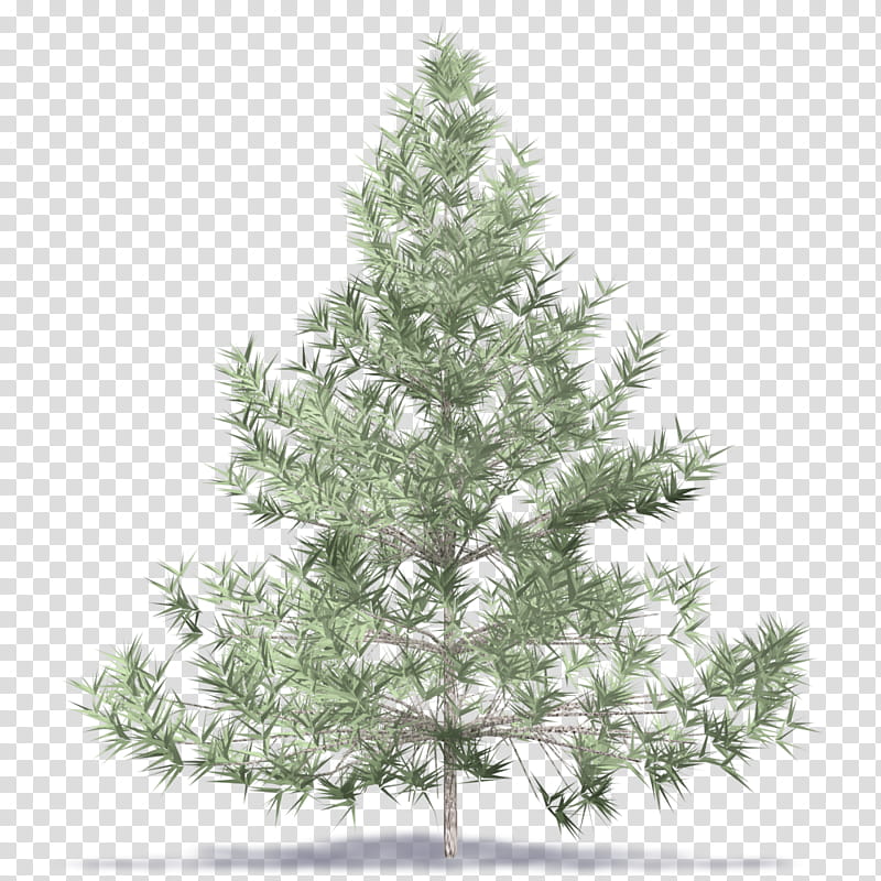 Christmas Tree Branch, Artificial Christmas Tree, Prelit Tree, Christmas Day, Fir, Balsam Hill, Pine, Holiday transparent background PNG clipart