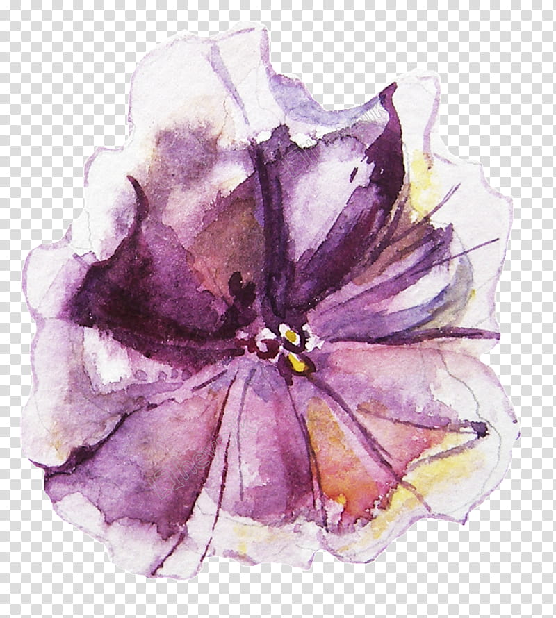 Purple Watercolor Flower, Watercolor Painting, Watercolor Flowers, Violet, Petal, Plant, Lilac, Petunia transparent background PNG clipart