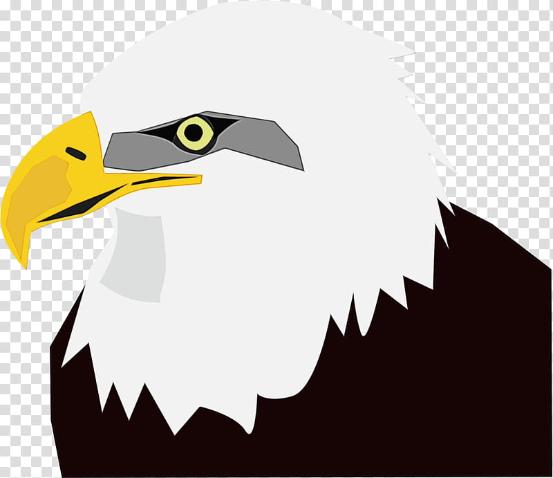 Eagle Logo, Bald Eagle, Golden Eagle, Eagle Feather Law, Bird, Beak, Bird Of Prey, Falconiformes transparent background PNG clipart