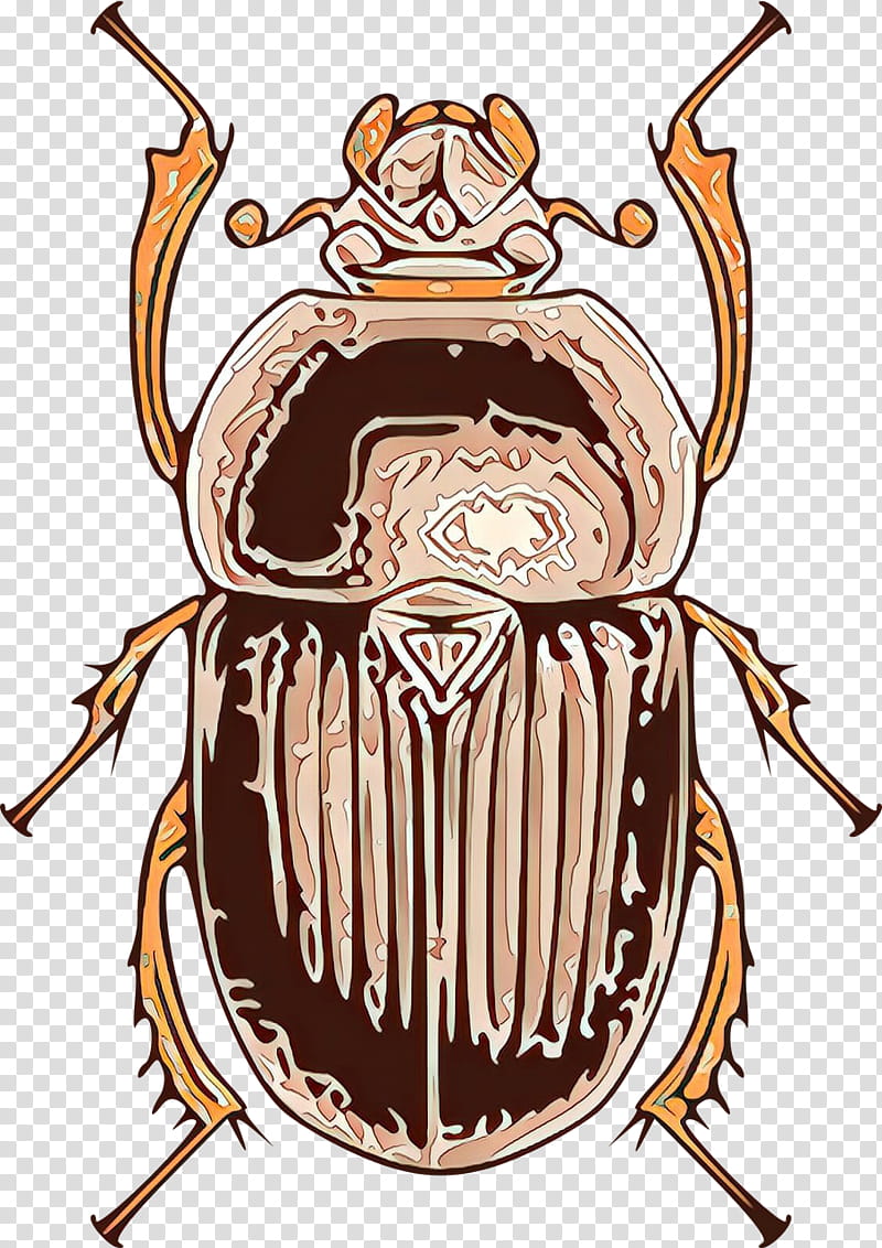 insect cartoon beetle stag beetles cockroach, Ground Beetle, Darkling Beetles transparent background PNG clipart