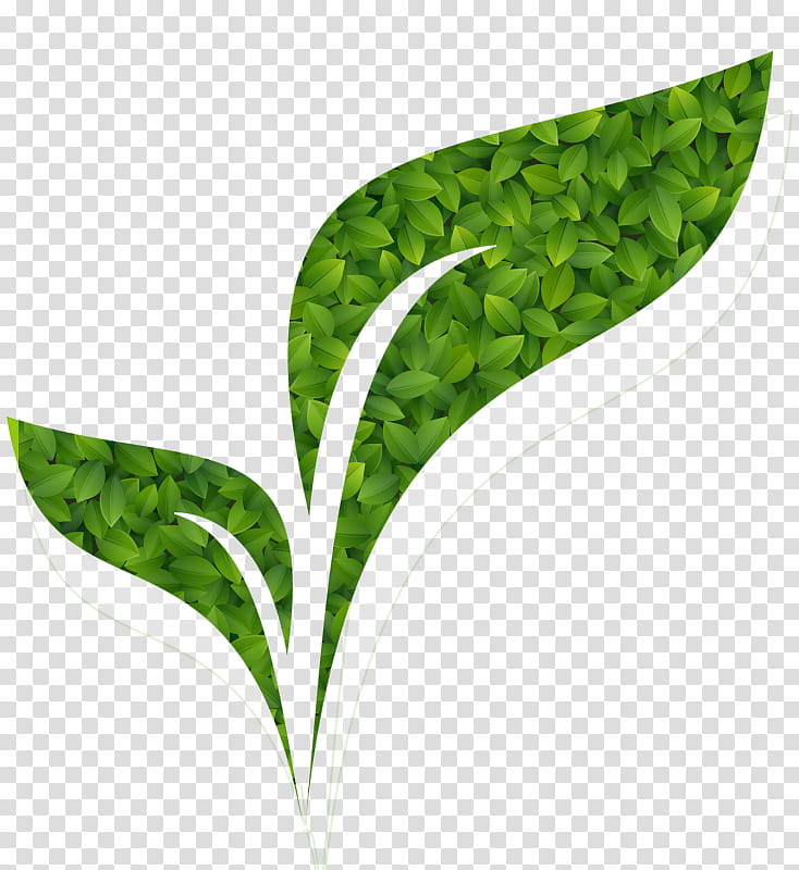 Green Grass, Environmentally Friendly, Ink, Leaf, Login, Banner, Credential, Plant transparent background PNG clipart