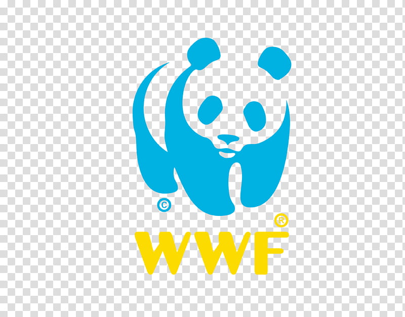 Cartoon Nature, World Wide Fund For Nature, Endangered Species, Organization, Conservation, International, Giant Panda, Wildlife Conservation transparent background PNG clipart