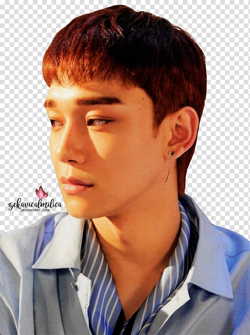 EXO CBX Chen Blooming Days, man in gray collar top transparent background PNG clipart