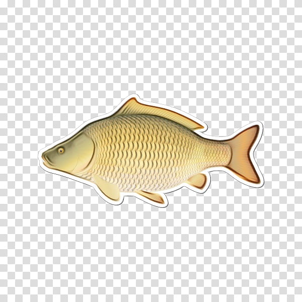 fish fish carp bony-fish ray-finned fish, Watercolor, Paint, Wet Ink, Bonyfish, Rayfinned Fish, Fish Products, Cyprinidae transparent background PNG clipart