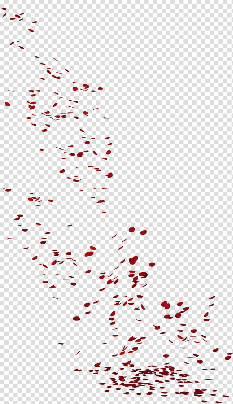 Flower Line Art, Petal, Rendering, 3D Computer Graphics, Digital Art, Red, Text, Confetti transparent background PNG clipart