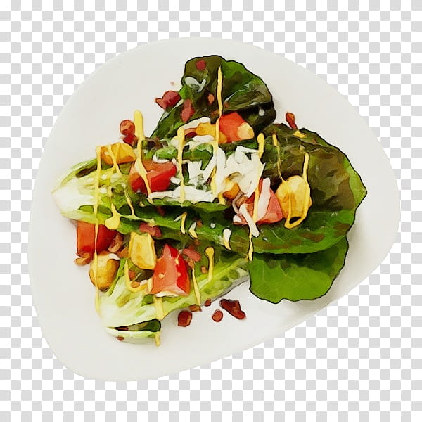 Watercolor Garden, Paint, Wet Ink, Greek Salad, Spinach Salad, Caesar Salad, Vegetarian Cuisine, Greens transparent background PNG clipart