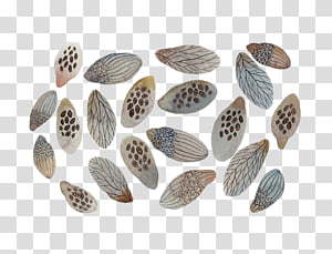 5, assorted color butterfly decor lot transparent background PNG clipart thumbnail