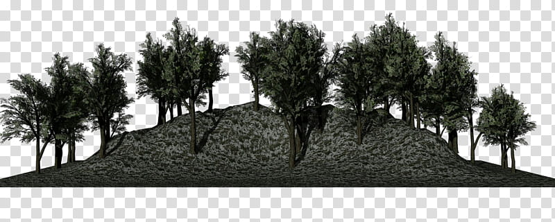 tree black-and-white woody plant land lot plant, Blackandwhite, Grass, Landscape transparent background PNG clipart