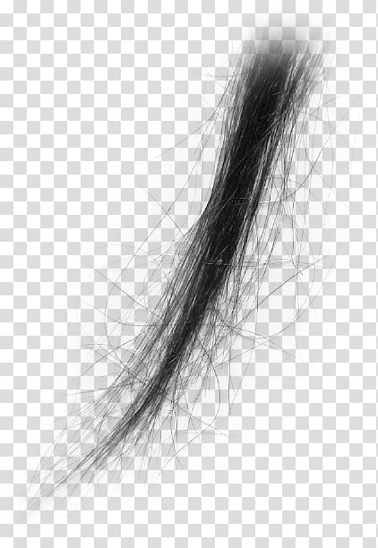 Hair, black hair strands transparent background PNG clipart