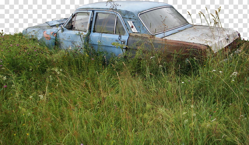 Rusty car in grass transparent background PNG clipart