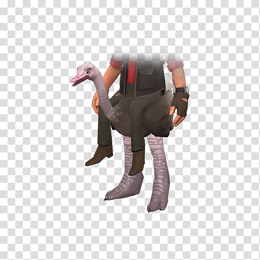 Flamingo, Team Fortress 2, Steam, Tradability, Cosmetics, Item, Community, Goods transparent background PNG clipart