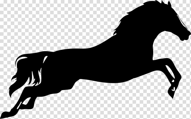 Horse Horse, Silhouette, Jumping, Show Jumping, Rearing, Free Jumping, Mane, Stallion transparent background PNG clipart