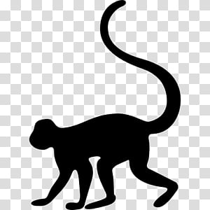 Old World Monkey PNG and Old World Monkey Transparent Clipart Free  Download. - CleanPNG / KissPNG