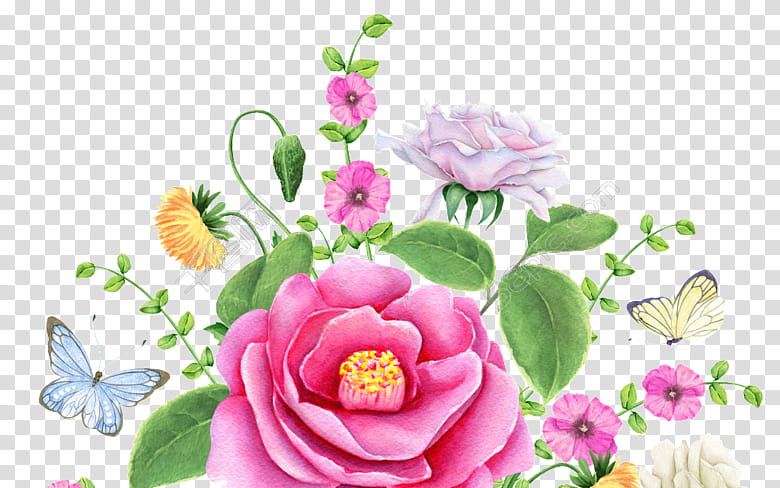 Watercolor Pink Flowers, Garden Roses, Floral Design, Watercolor Painting, Vase, Rose Family, Flower Arranging, Floristry transparent background PNG clipart