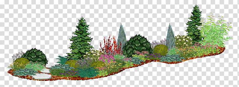 Family Tree, Flower Garden, Conifers, Arborvitae, Ornamental Plant, Fir, Spruce, Plants transparent background PNG clipart