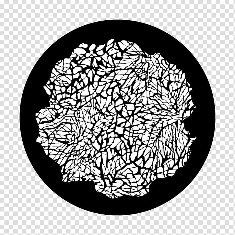Tree Drawing, Branching, Leaf, Line Art, Plant, Circle, Blackandwhite, Vascular Plant transparent background PNG clipart