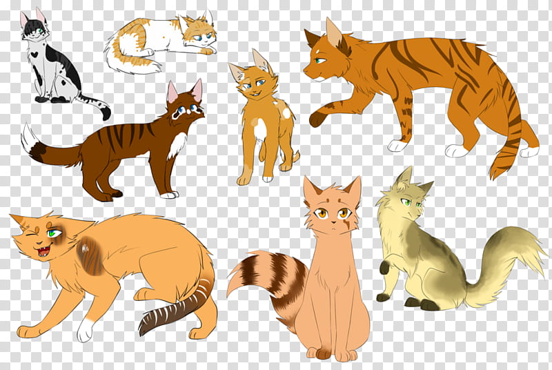 Cats, Lion, Whiskers, Wildcat, RED Fox, Paw, Animal, Character transparent background PNG clipart