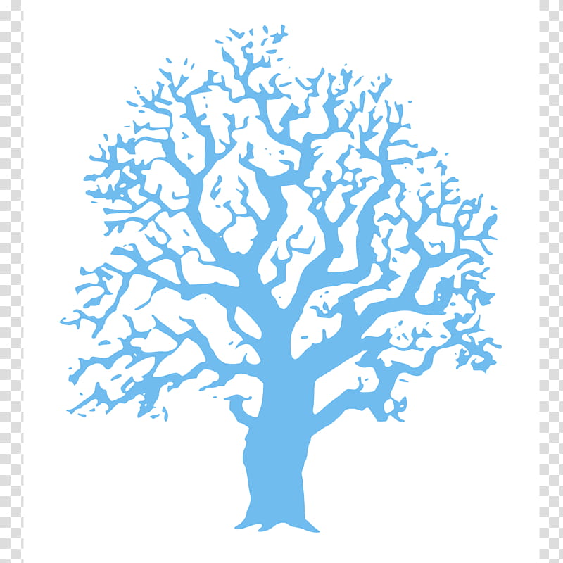 Oak Tree Silhouette, Drawing, White Oak, White Oak Tree, Branch, Electric Blue, Woody Plant, World transparent background PNG clipart