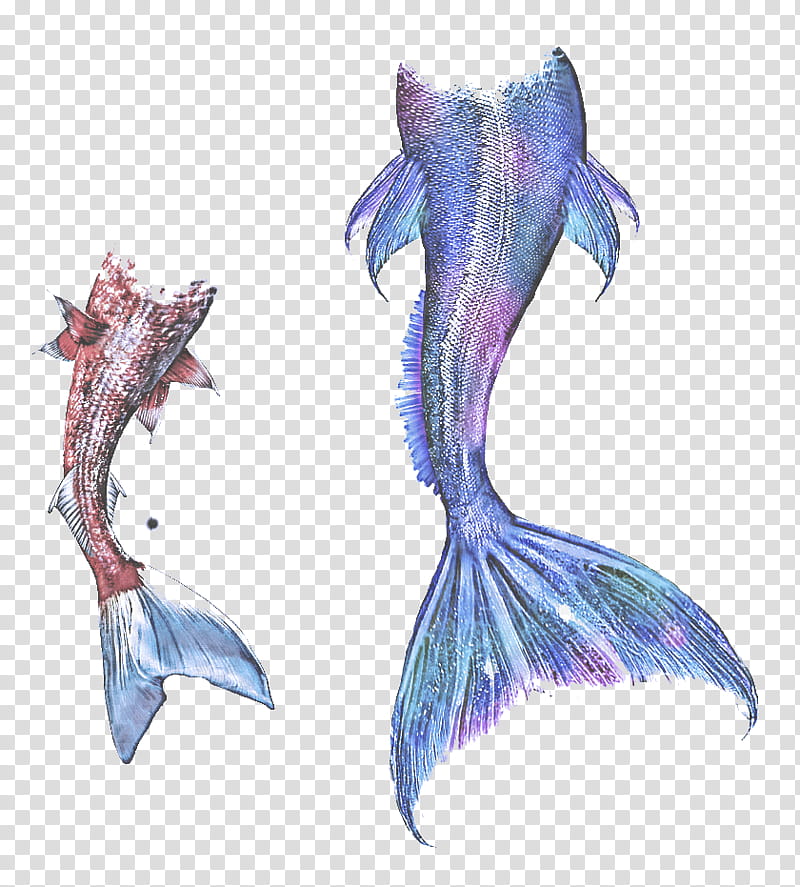 fictional character wing mythical creature dolphin tail, Fish, Marine Mammal transparent background PNG clipart