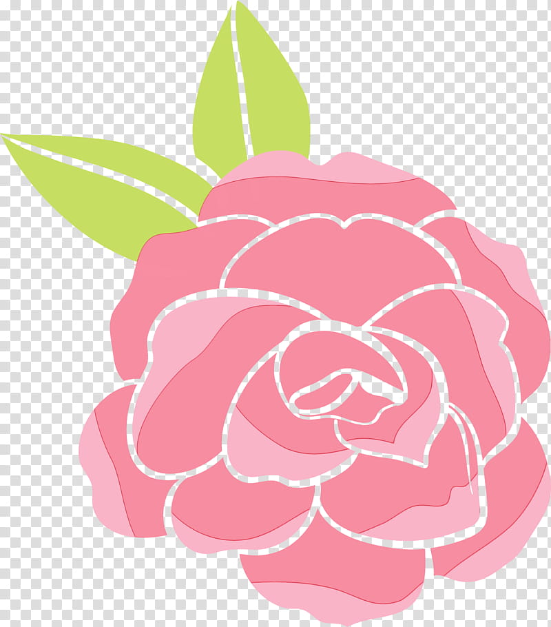 Garden roses, Watercolor, Paint, Wet Ink, Cartoon, Drawing, Cabbage Rose, Pink transparent background PNG clipart