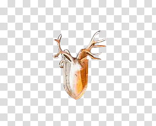 brown deer head trophy transparent background PNG clipart