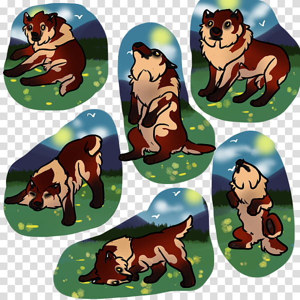 Bear, Dog, Cartoon, Animal Figure, Wildlife, Brown Bear, Grizzly Bear transparent background PNG clipart