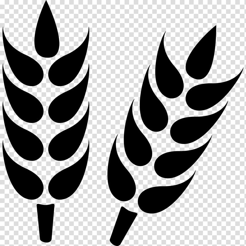 Leaf Logo, Wheat, Grain, Cereal, Wheat Beer, Ear, Agriculture, Oat transparent background PNG clipart