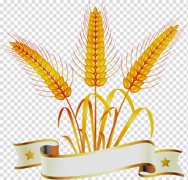 Grass Flower, Whole Wheat Bread, Whole Grain, Wholewheat Flour, Cereal, Common Wheat, Food, Wheat Berry transparent background PNG clipart