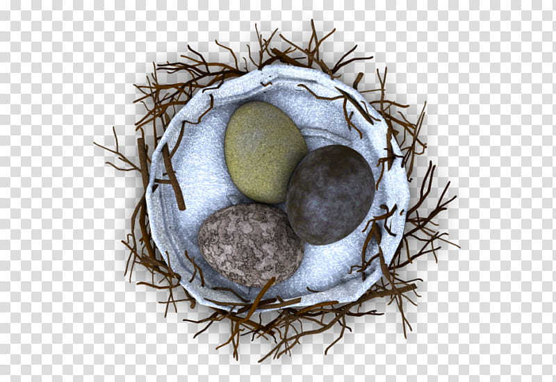 RPG Map Elements , three eggs in white nest transparent background PNG clipart