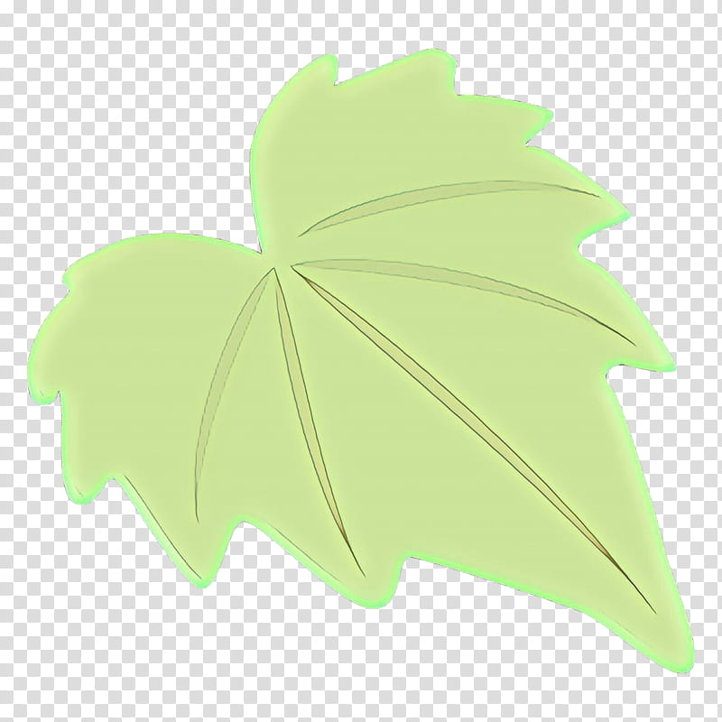 Maple leaf, Green, Tree, Plant, Woody Plant, Ivy, Plane transparent background PNG clipart