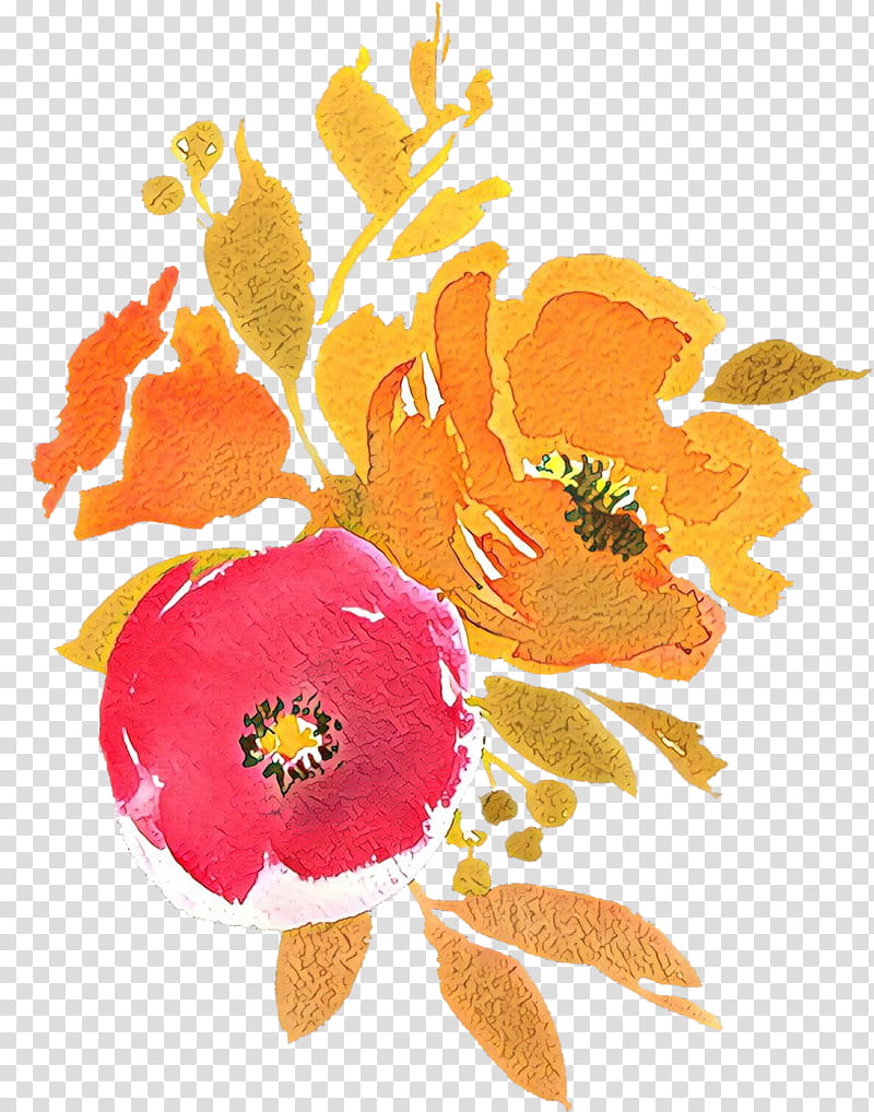 Orange, Cartoon, Flower, Plant, Watercolor Paint, Petal, Wildflower, Poppy Family transparent background PNG clipart