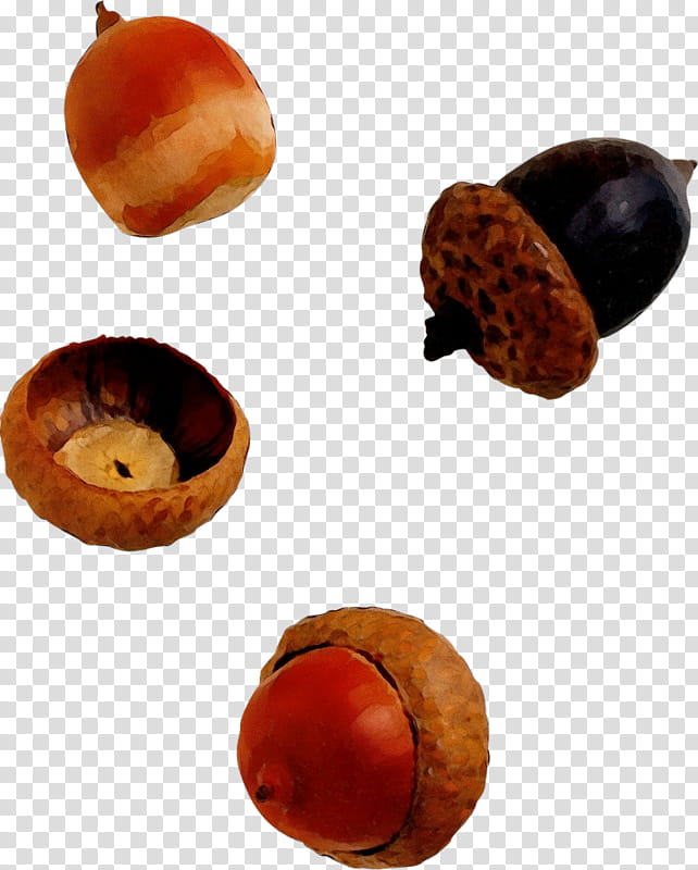 Acorn Chestnut Fruit Oak Leaf, Watercolor, Paint, Wet Ink, Nuts Seeds, Tree, Plant, Hazelnut transparent background PNG clipart