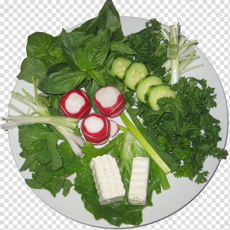 Spring, Chard, Vegetarian Cuisine, Lettuce, Rapini, Spring Greens, Salad, Garnish transparent background PNG clipart