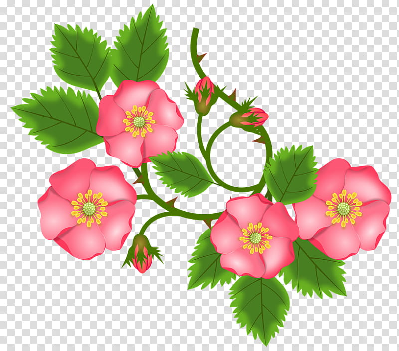 Flower Rose, Embroidery, Tutorial, Rose Family, Plant, Petal, Rosa Canina transparent background PNG clipart