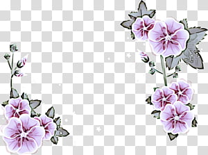 flower petal plant transparent background PNG clipart thumbnail