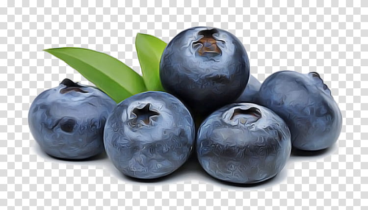 fruit european plum berry superfood bilberry, Blueberry, Plant, Tree transparent background PNG clipart