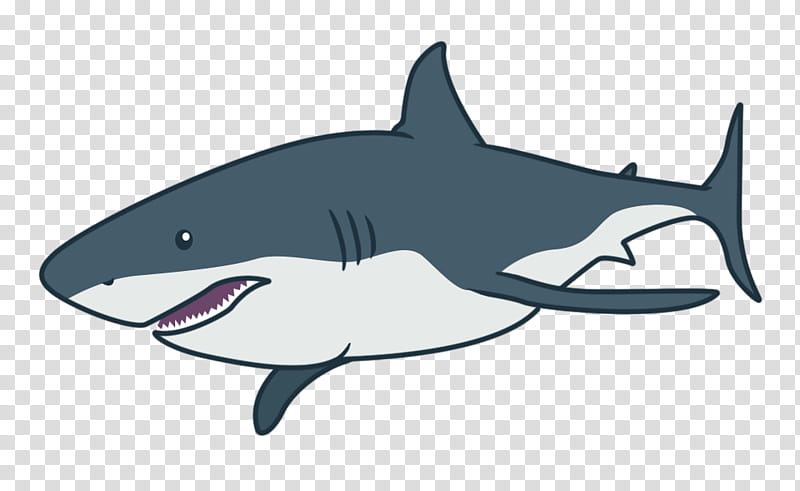 Great White Shark, Tiger Shark, Squaliform Sharks, Mackerel Sharks, Requiem Sharks, Cartoon, Biology, Microsoft Azure transparent background PNG clipart