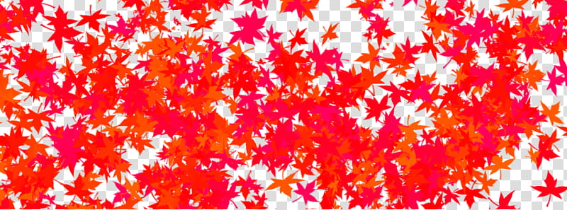 red and orange maple leaves illustration transparent background PNG clipart